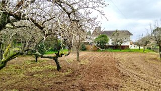 Land for sale in Vagos, Portugal — €49,000