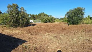 Land for sale in Anadia, Portugal — €17,000
