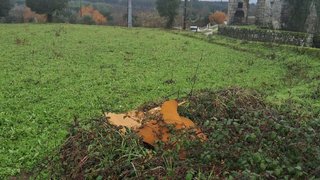 Land for sale in Tábua, Portugal — €19,900