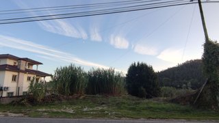 Land for sale in Albergaria-a-Velha, Portugal — €31,000