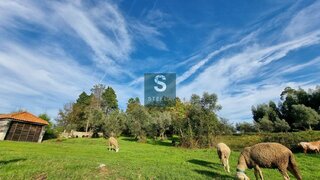 Terreno para venda em Oliveira do Hospital, Portugal — 50 000 €