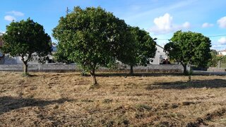 Land for sale in Montemor-o-Velho, Portugal — €22,500