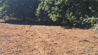 Land for sale in Cantanhede, Portugal — €75,000