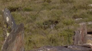 Land for sale in Paredes, Portugal — €36,000