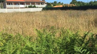 Land for sale in Santa Maria da Feira, Portugal — €139,000