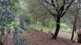 Land for sale in Oliveira de Azeméis, Portugal — €49,500