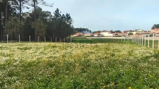 Land for sale in Barcelos, Portugal — €49,500