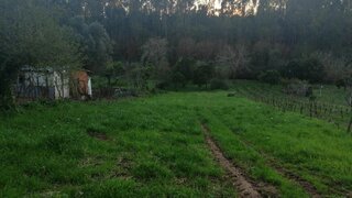 Land for sale in Montemor-o-Velho, Portugal — €45,000