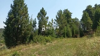 Terreno de 1362 m² em Coimbra
