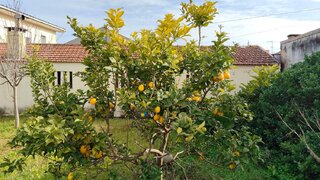 Land for sale in Vila do Conde, Portugal — €690,000