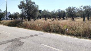 Land for sale in Coimbra, Portugal — €70,000