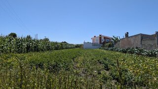 Terreno de 1315 m² em Aveiro