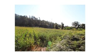 Terreno em Esposende