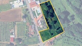 Land for sale in Albergaria-a-Velha, Portugal — €85,000