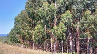 Terreno em Marco de Canaveses