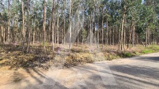Land for sale in Oliveira de Azeméis, Portugal — €143,310