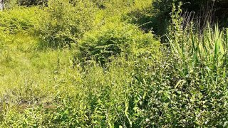 Land for sale in Santa Maria da Feira, Portugal — €23,000