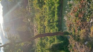 Land for sale in Felgueiras, Portugal — €67,000