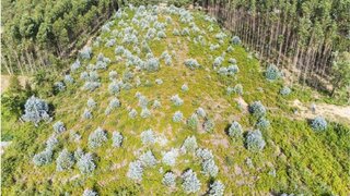 Land for sale in Santa Maria da Feira, Portugal — €550,000