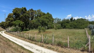 Land for sale in Ílhavo, Portugal — €41,500