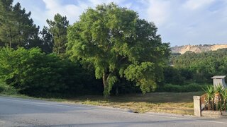Land for sale in Penafiel, Portugal — €135,000