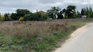 Land for sale in Anadia, Portugal — €37,500