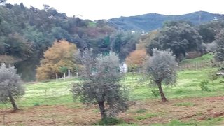 Land for sale in Penacova, Portugal — €60,000