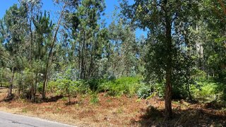 Land for sale in Santa Maria da Feira, Portugal — €38,500