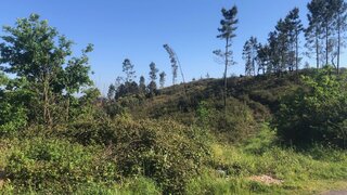 Land for sale in Valongo, Portugal — €725,000