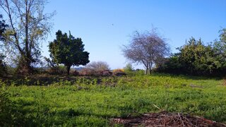 Land for sale in Santa Maria da Feira, Portugal — €85,000