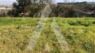 Land for sale in Anadia, Portugal — €30,000