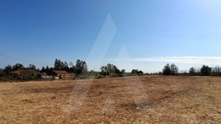 Terreno em Águeda