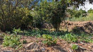 Terreno · 90 m² · 4500 €
