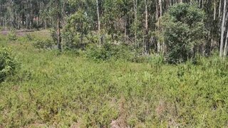 Land for sale in Vila Verde, Portugal — €475,000
