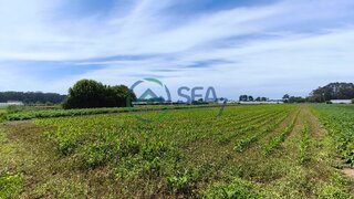 Land for sale in Esposende, Portugal — €60,000