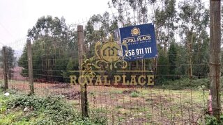 Land for sale in Santa Maria da Feira, Portugal — €57,000