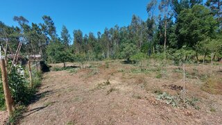 Land for sale in Figueira da Foz, Portugal — €11,500
