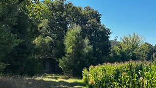 Land for sale in Santo Tirso, Portugal — €200,000
