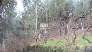 Land for sale in Marco de Canaveses, Portugal — €32,000