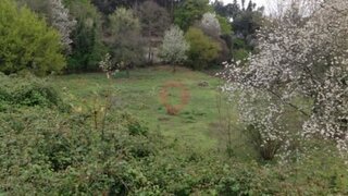 Terreno em Braga · 13 500 m² · 580 000 €