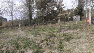 Land for sale in Águeda, Portugal — €6,500