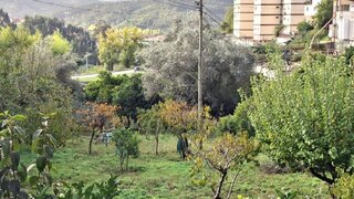Terreno de 1450 m² em Coimbra