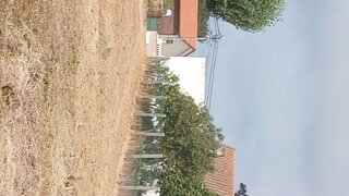 Land for sale in Estarreja, Portugal — €63,000