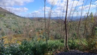 Land for sale in Arouca, Portugal — €65,000