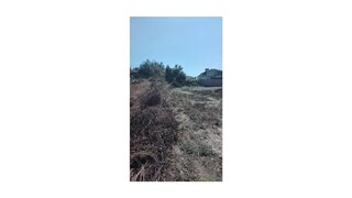 Land for sale in Oliveira de Azeméis, Portugal — €176,000