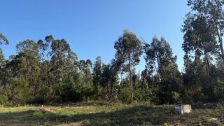 Terreno para venda em Oliveira do Bairro, Portugal — 27 500 €