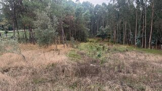 Terreno para venda em Oliveira do Bairro, Portugal — 60 000 €