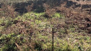 Land for sale in Amarante, Portugal — €53,000