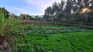 Land for sale in Santa Maria da Feira, Portugal — €55,000