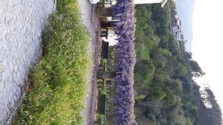 Land for sale in Baião, Portugal — €53,000